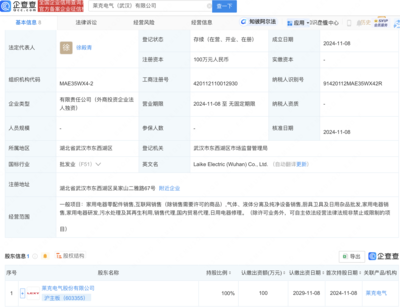 萊克電氣武漢布局新動向 全資子公司盛大開業，瞄準家電市場新機遇！廚具衛具及日用雜品